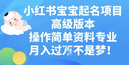 小红书宝宝起名项目高级版本,操作简单,资料专业,月入过W-鑫锐轻创终点站