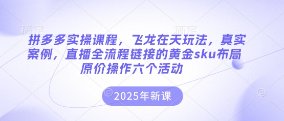 拼多多实操课程,飞龙在天玩法,真实案例,直播全流程链接的黄金sku布局原价操作六个活动-鑫锐轻创终点站