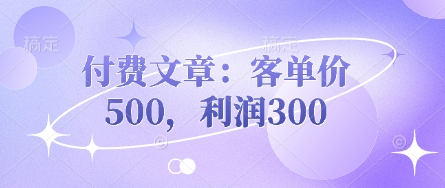 付费文章:客单价500,利润300-鑫锐轻创终点站
