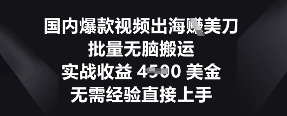 国内爆款视频出海挣美刀,批量无脑搬运,实战收益4.5k,无需经验直接上手-鑫锐轻创终点站