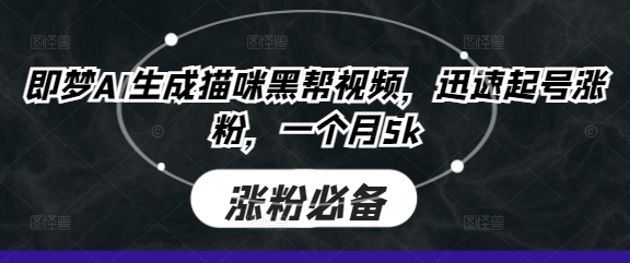 即梦AI生成猫咪黑帮视频,迅速起号涨粉,一个月5k-鑫锐轻创终点站
