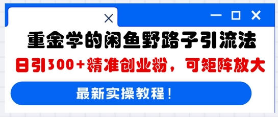 重金学的闲鱼野路子引流法,日引300+精准创业粉,可矩阵放大-鑫锐轻创终点站