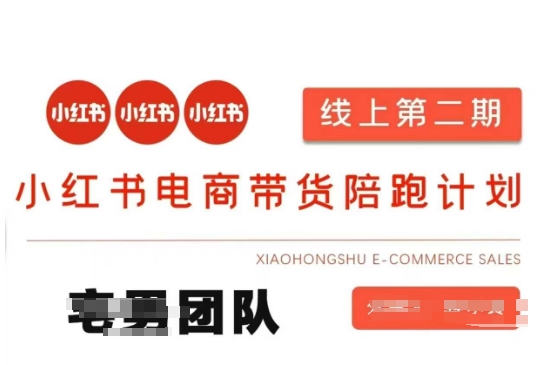 小红书电商带货课2期,月利润20个的小红书电商的有货源,无货源,虚拟产品,付费投流等整套玩法-鑫锐轻创终点站